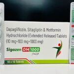 SIGAZEN DM 1000 10S